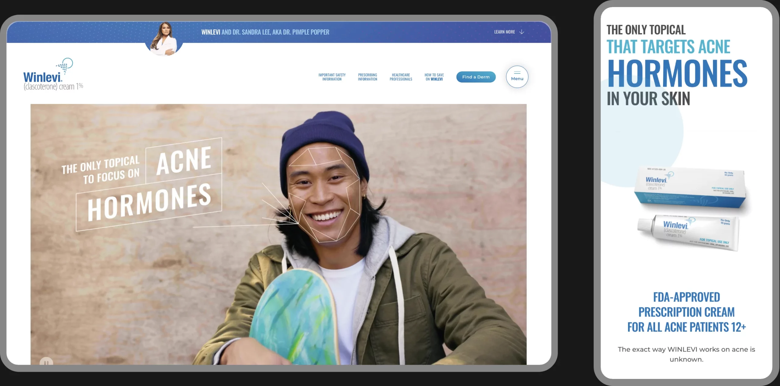 Winlevi desktop and mobile layouts
